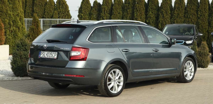 Skoda Octavia cena 65900 przebieg: 96000, rok produkcji 2019 z Słupca małe 407